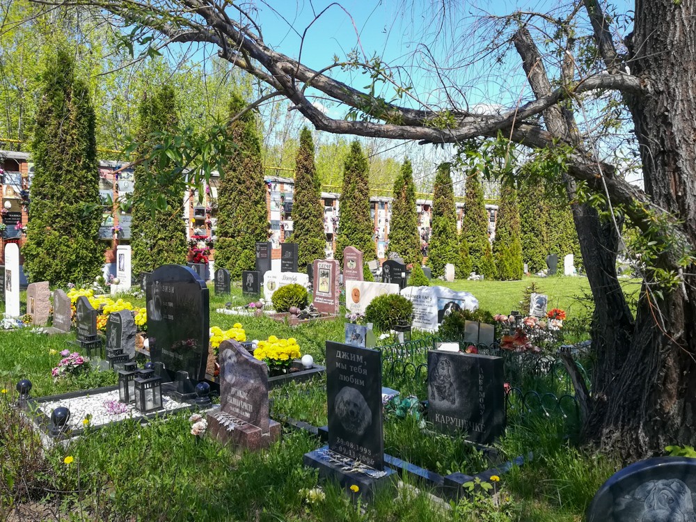 Захоронения животных (собаки, кошки) в городе Реутов